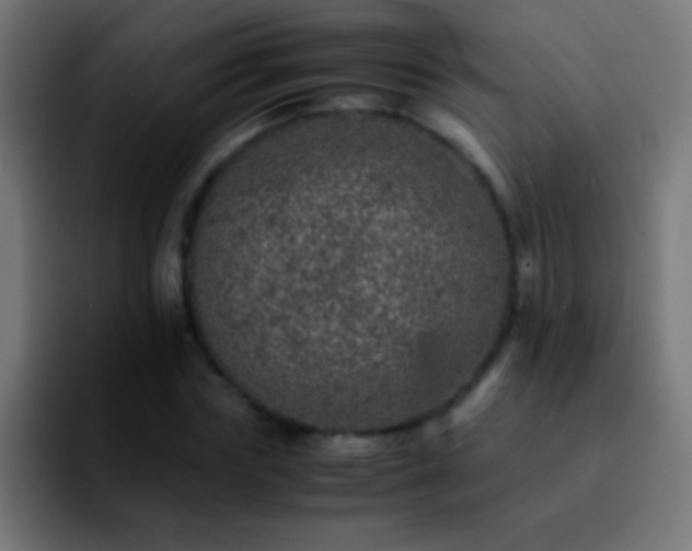 X0000092290827200709211212