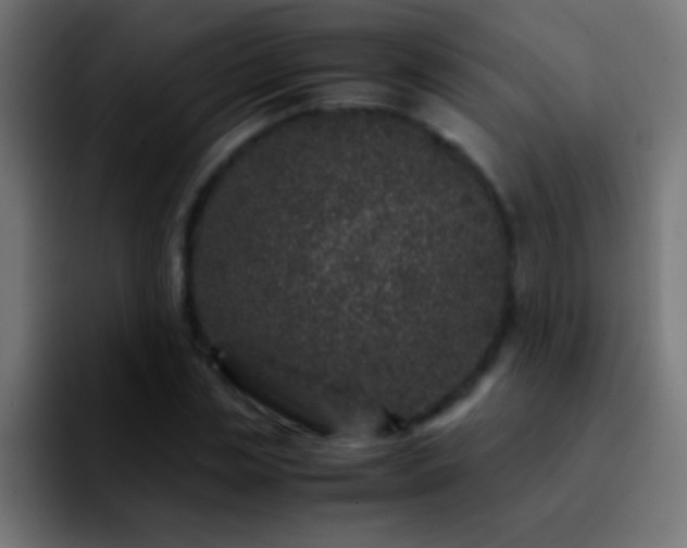 X0000092290829200709211212