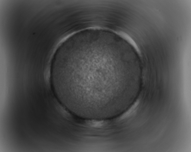 X0000092290831200709211212