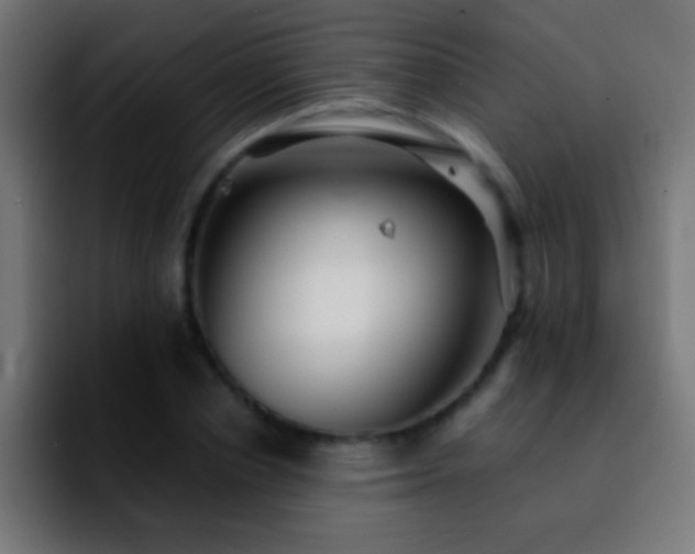 X0000092290834200709211212