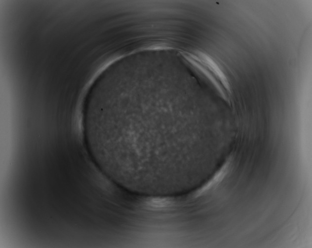 X0000092290835200709211212