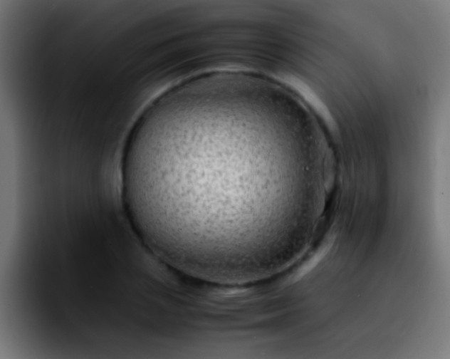 X0000092290837200709211212