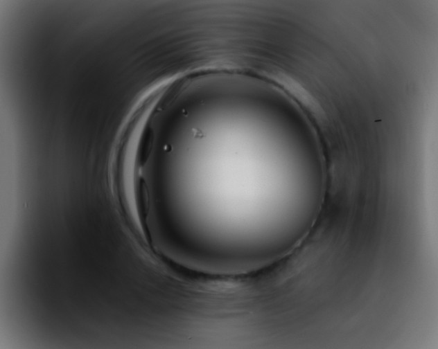 X0000092290838200709211212