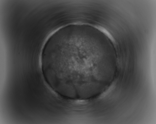 X0000092290839200709211212