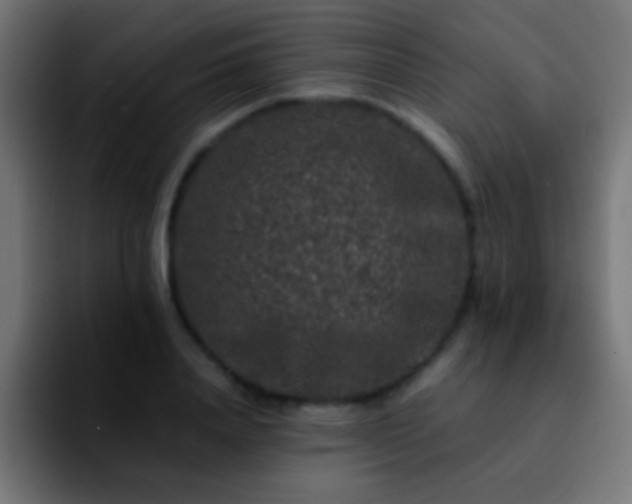 X0000092290840200709211212