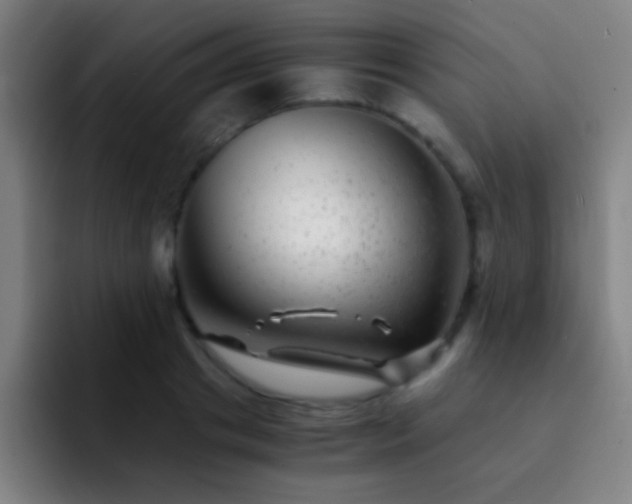 X0000092290841200709211212