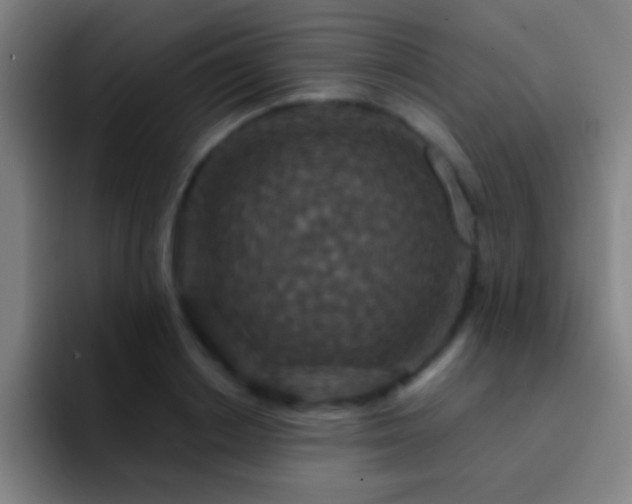 X0000092290842200709211212