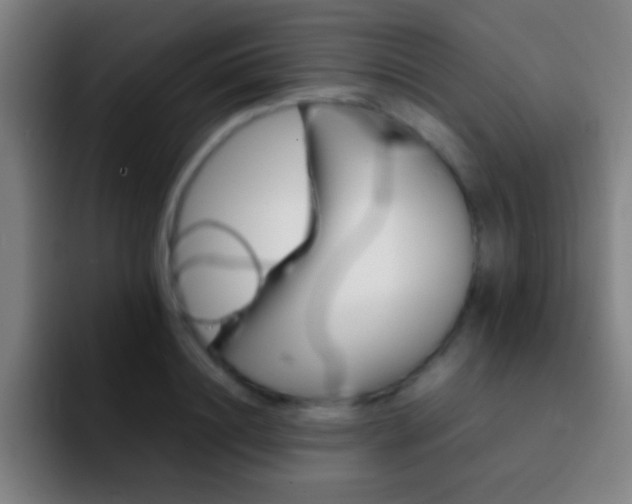 X0000092290844200709211212