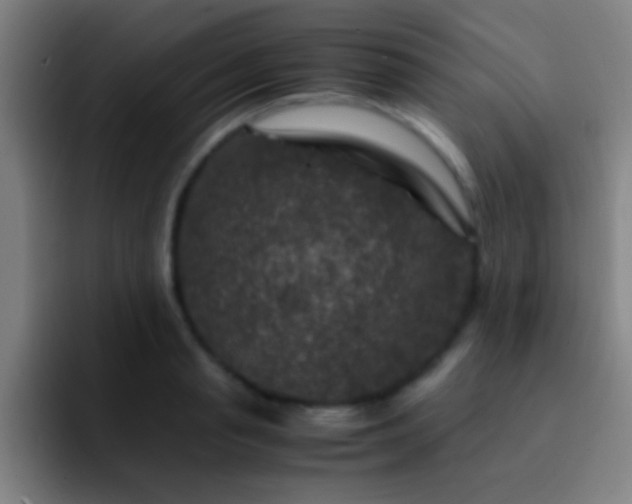 X0000092290845200709211212