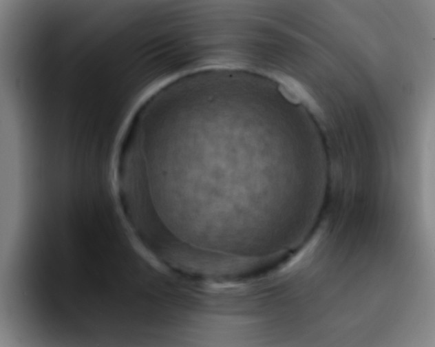 X0000092290846200709211212