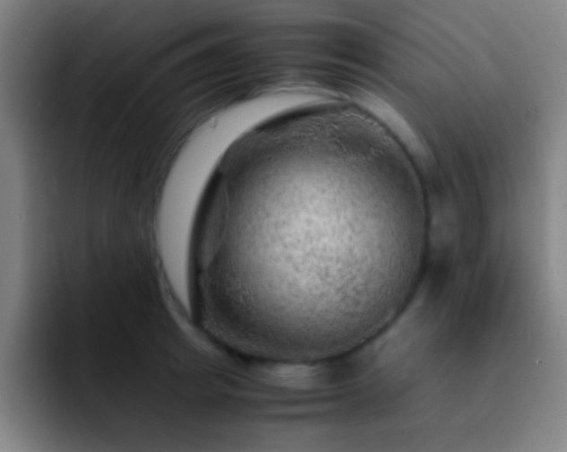 X0000092290849200709211212