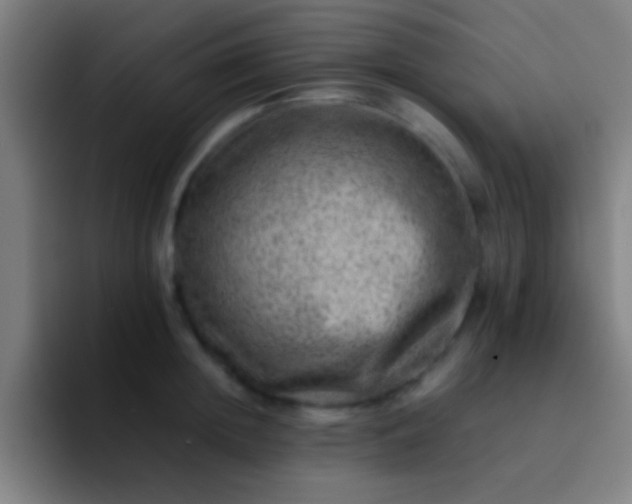 X0000092290852200709211212