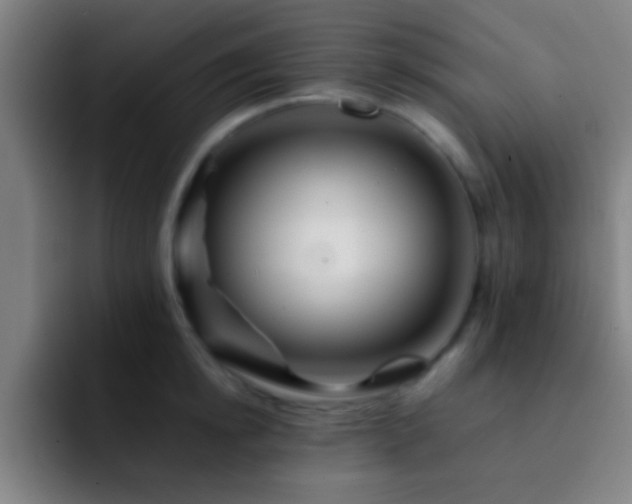 X0000092290854200709211212