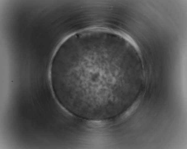 X0000092290855200709211212