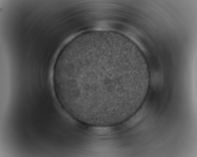 X0000092290856200709211212