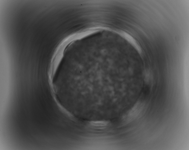 X0000092290863200709211212