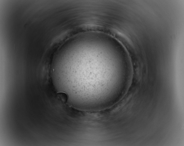 X0000092290870200709211211