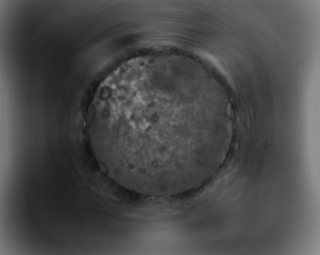 X0000092290871200709211211