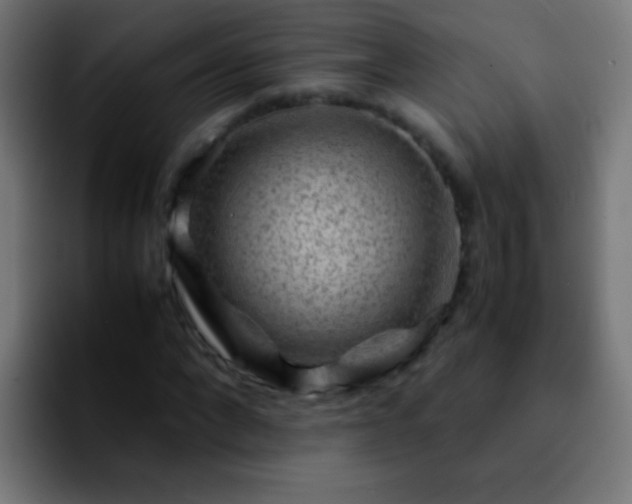 X0000092290872200709211211