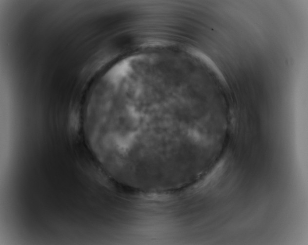 X0000092290874200709211211