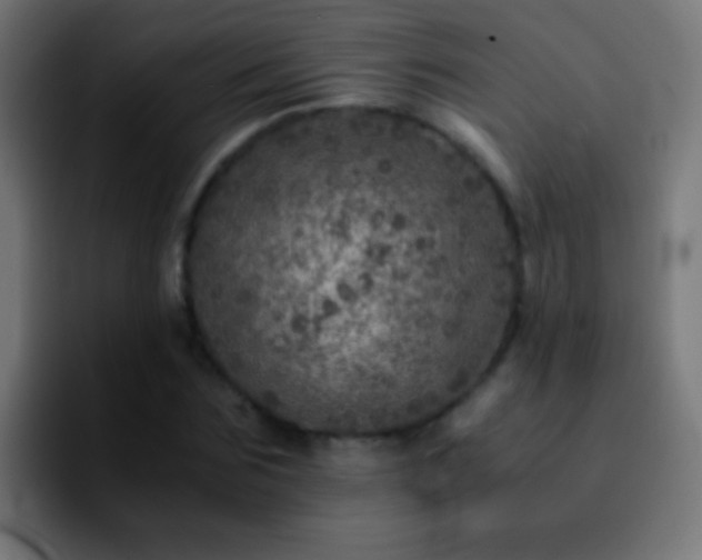 X0000092290875200709211211