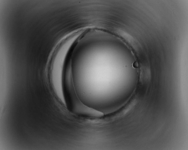 X0000092290876200709211211