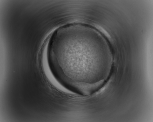 X0000092290877200709211211