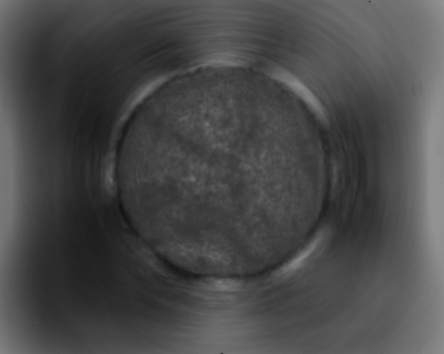 X0000092290878200709211211