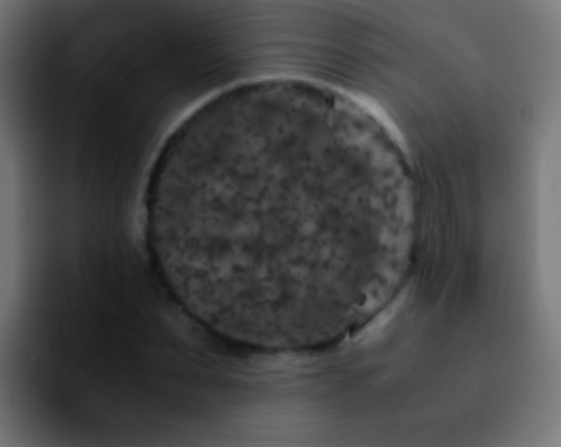 X0000092290879200709211211