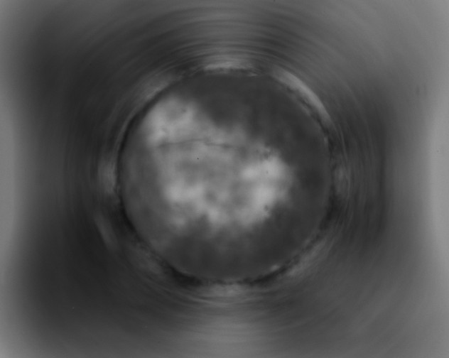 X0000092290882200709211211