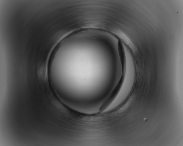 X0000092290884200709211211