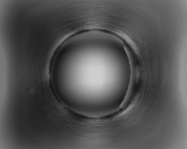 X0000092290885200709211211