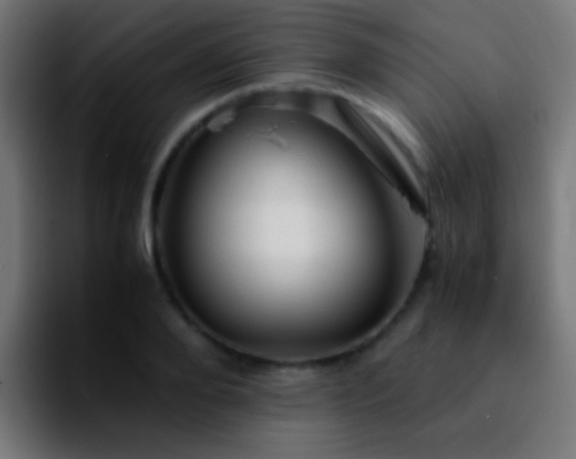 X0000092290888200709211211