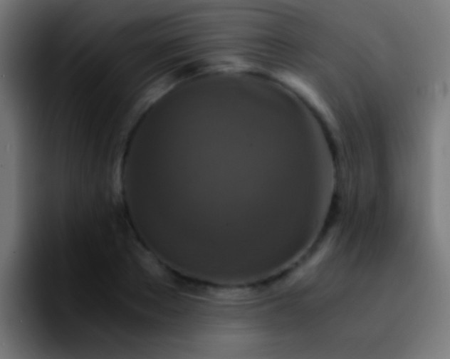 X0000092290889200709211211