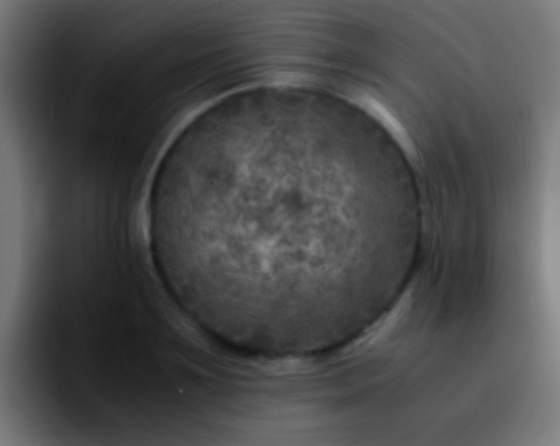 X0000092290891200709211211