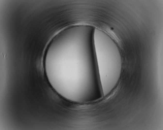 X0000092290892200709211211