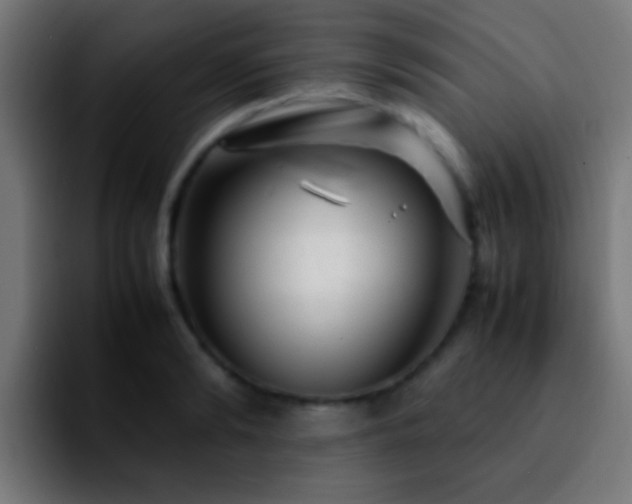 X0000092290894200709211211