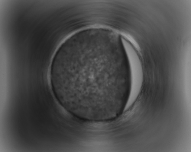 X0000092290895200709211211