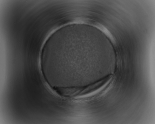 X0000092290896200709211211