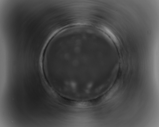 X0000092290899200709211211