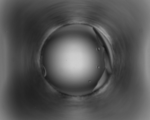 X0000092290901200709211211