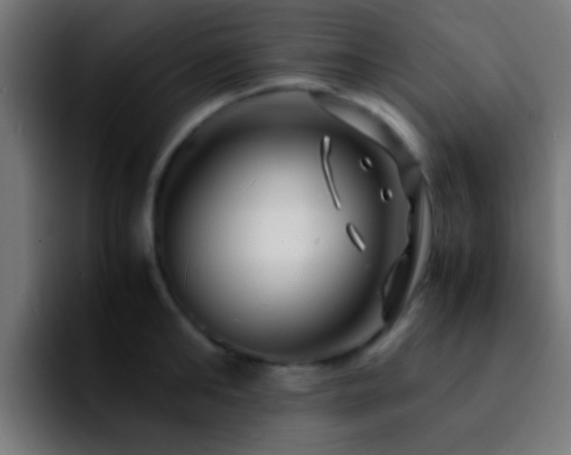 X0000092290902200709211211