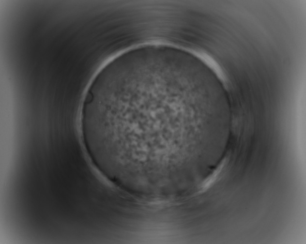 X0000092290903200709211211