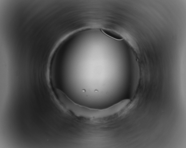 X0000092290904200709211211