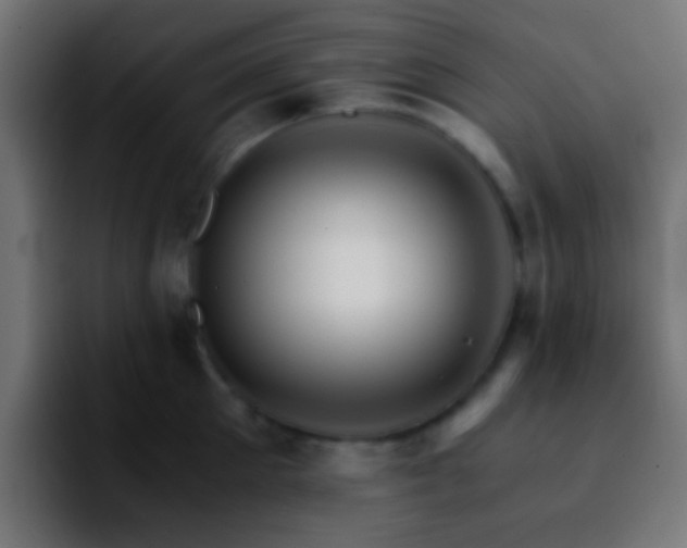 X0000092290905200709211211