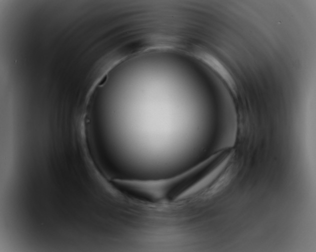 X0000092290906200709211211