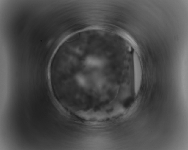 X0000092290907200709211211