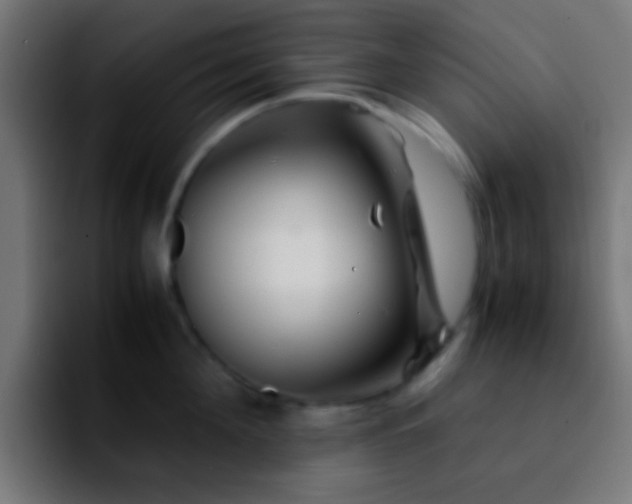 X0000092290908200709211211