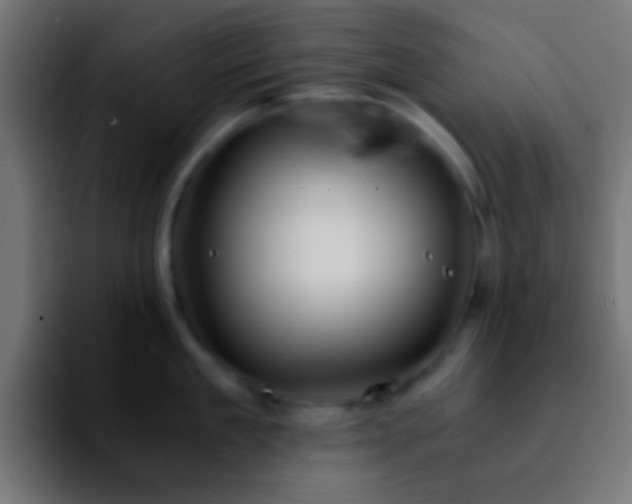 X0000092290909200709211211