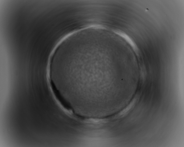 X0000092290910200709211211